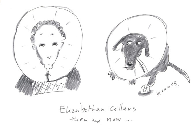 Elizabethan Collars then and now