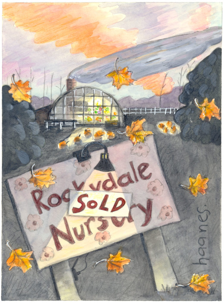 Fall scene, Rockydale Nursery sold to mysterious new owner